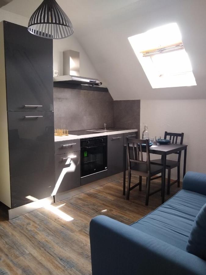 Le Marcel Appartement F1 De 24 M² Choisey Εξωτερικό φωτογραφία