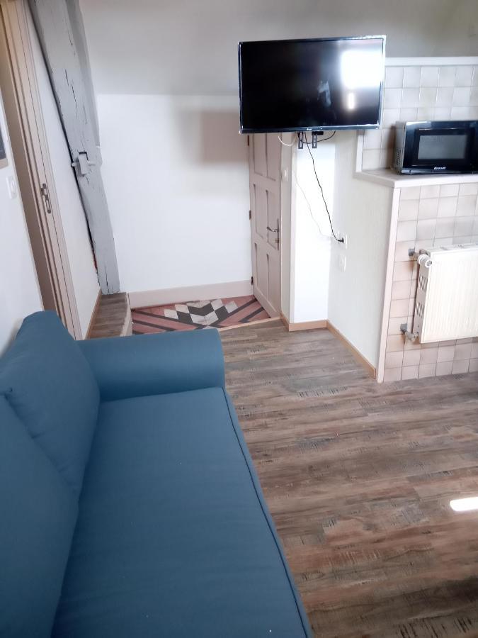 Le Marcel Appartement F1 De 24 M² Choisey Εξωτερικό φωτογραφία
